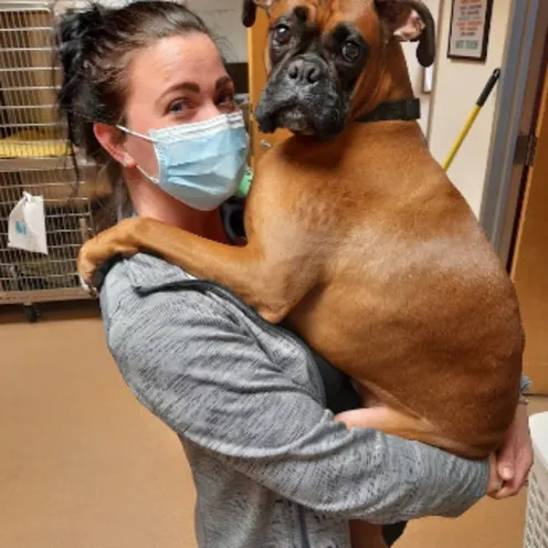Staff Member Carrying a Dog